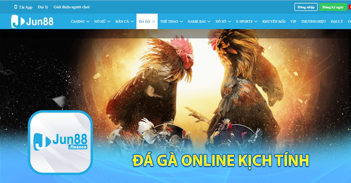 Đá gà online kịch tính